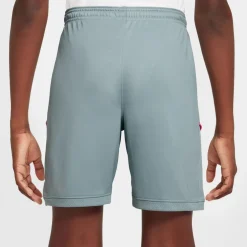 Academy Dri-fit Short