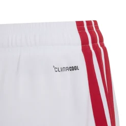 Ajax Amsterdam 26/27 Thuisshort Kids