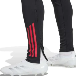 Ajax Amsterdam Tiro 25 Competition Training Broek