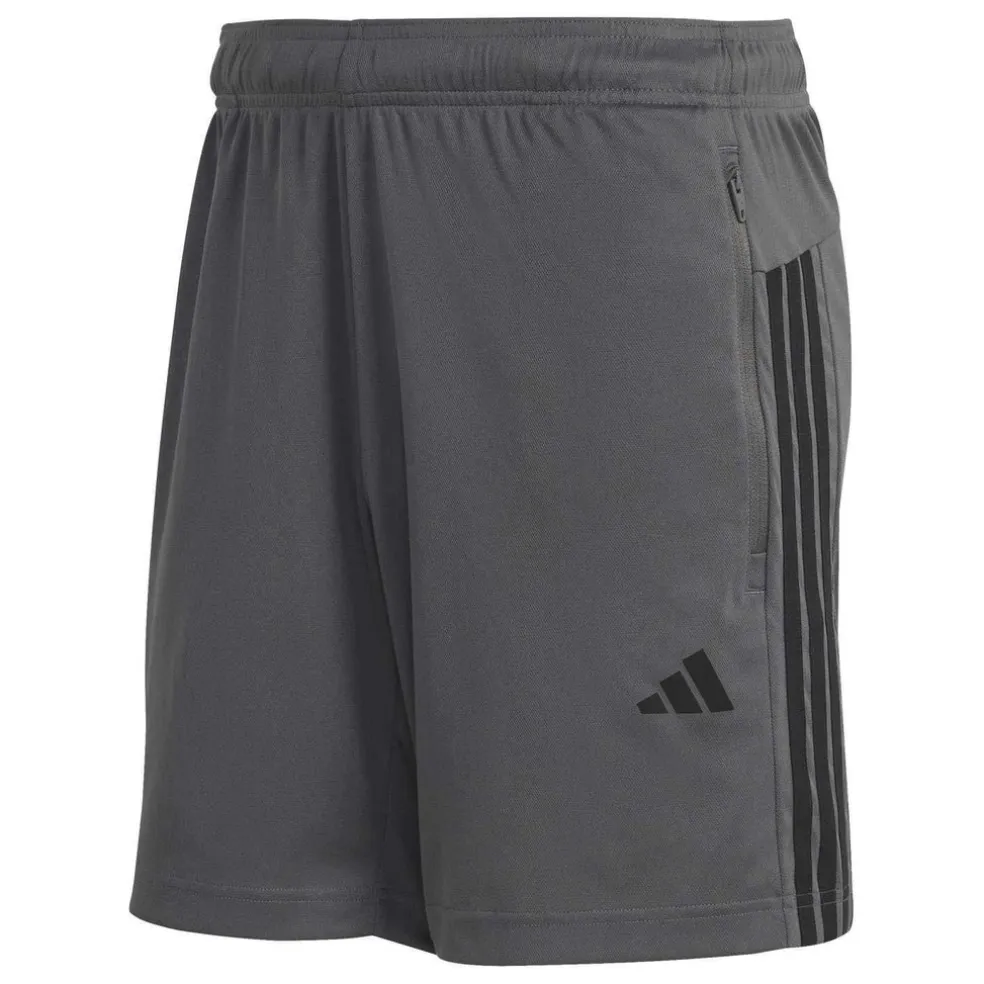 basic trainingsshorts