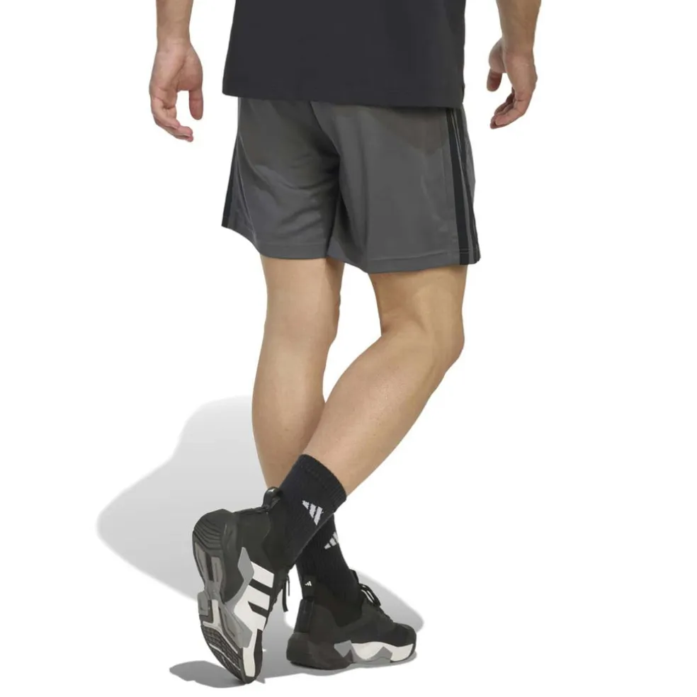 basic trainingsshorts