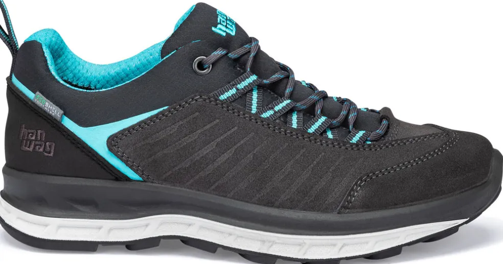 Blueridge Low ES wandelschoenen