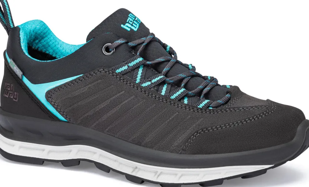 Blueridge Low ES wandelschoenen
