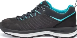 Blueridge Low ES wandelschoenen
