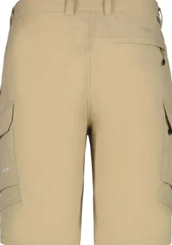 Braswell short