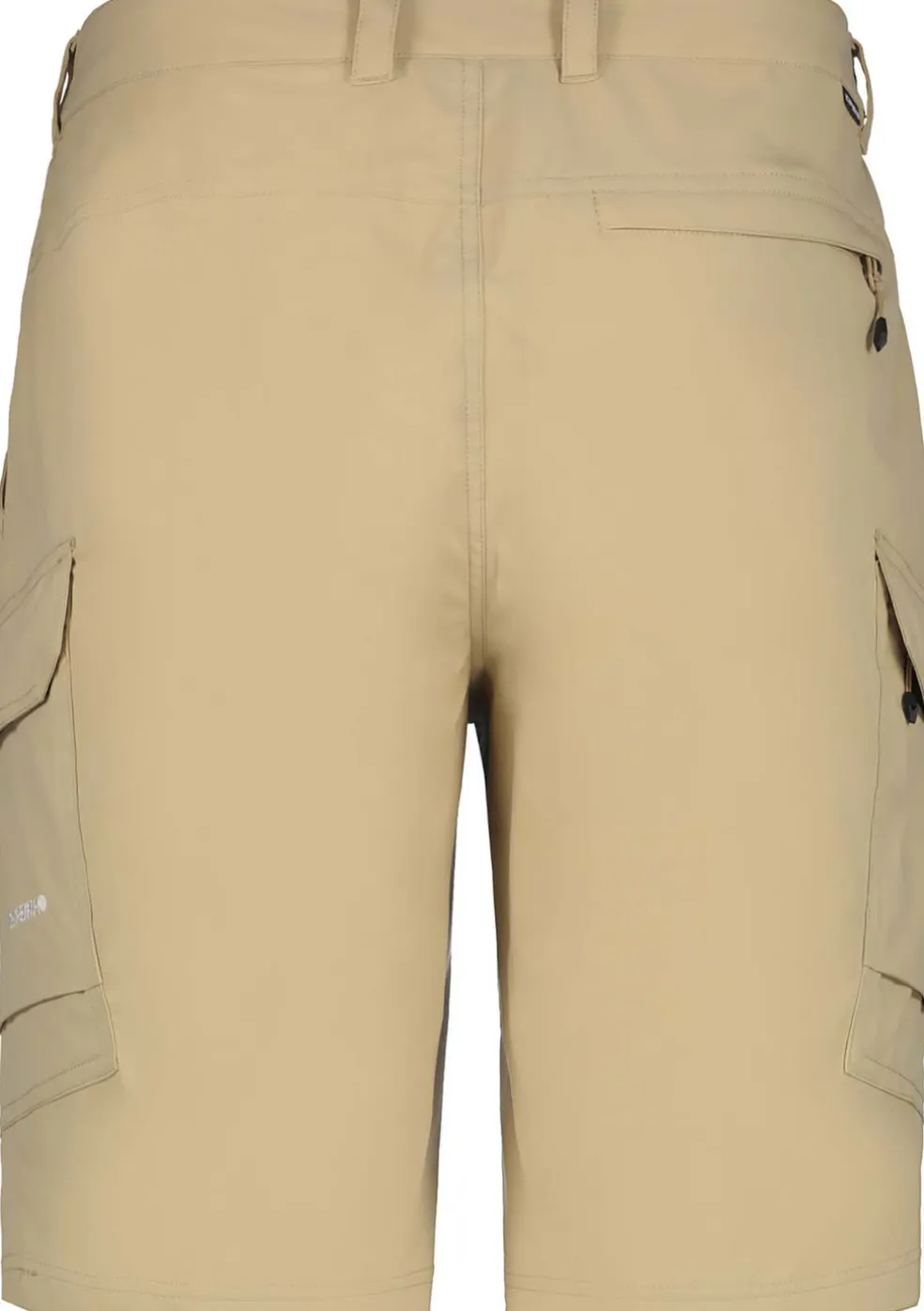 Braswell short