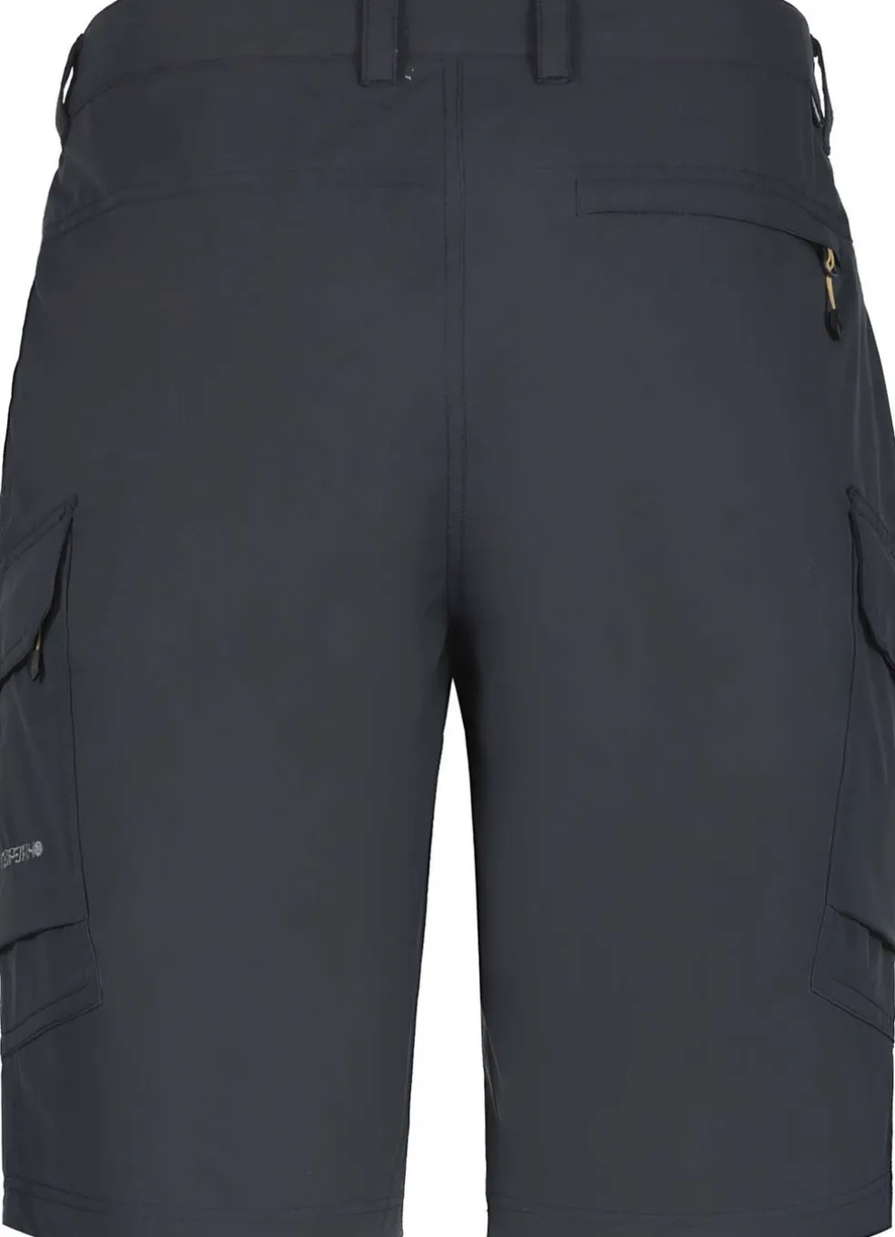 Braswell short