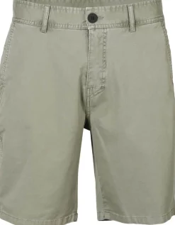 CambECO-N short