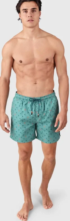 Cester-mini Men Swim Shorts