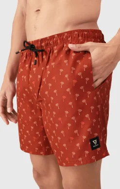 Cester-mini Men Swim Shorts