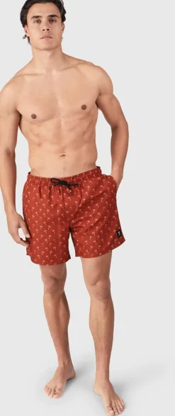 Cester-mini Men Swim Shorts