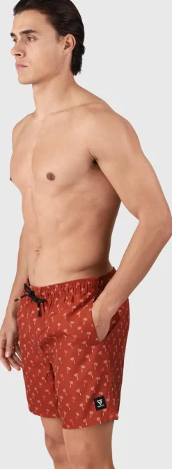 Cester-mini Men Swim Shorts