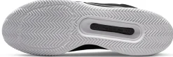 Court Zoom Pro tennisschoenen