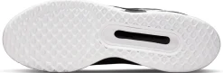 Court Zoom Pro tennisschoenen