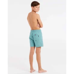 Culture Beachshort