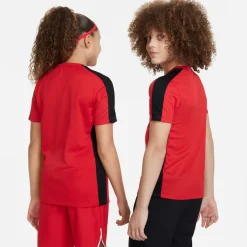 Dri-FIT Academy shirt