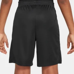 Dri-FIT Academy 23 short