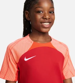 Dri-FIT Strike 3 shirt