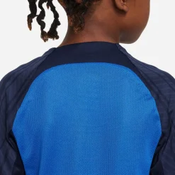 Dri-FIT Strike 3 shirt