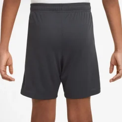 Dri-FIT Strike short