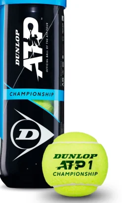 D Tb Atp Championship 3 tennisballen