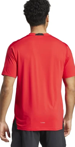 D4t Int. Tee