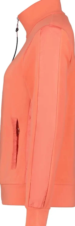 Enklinge vest