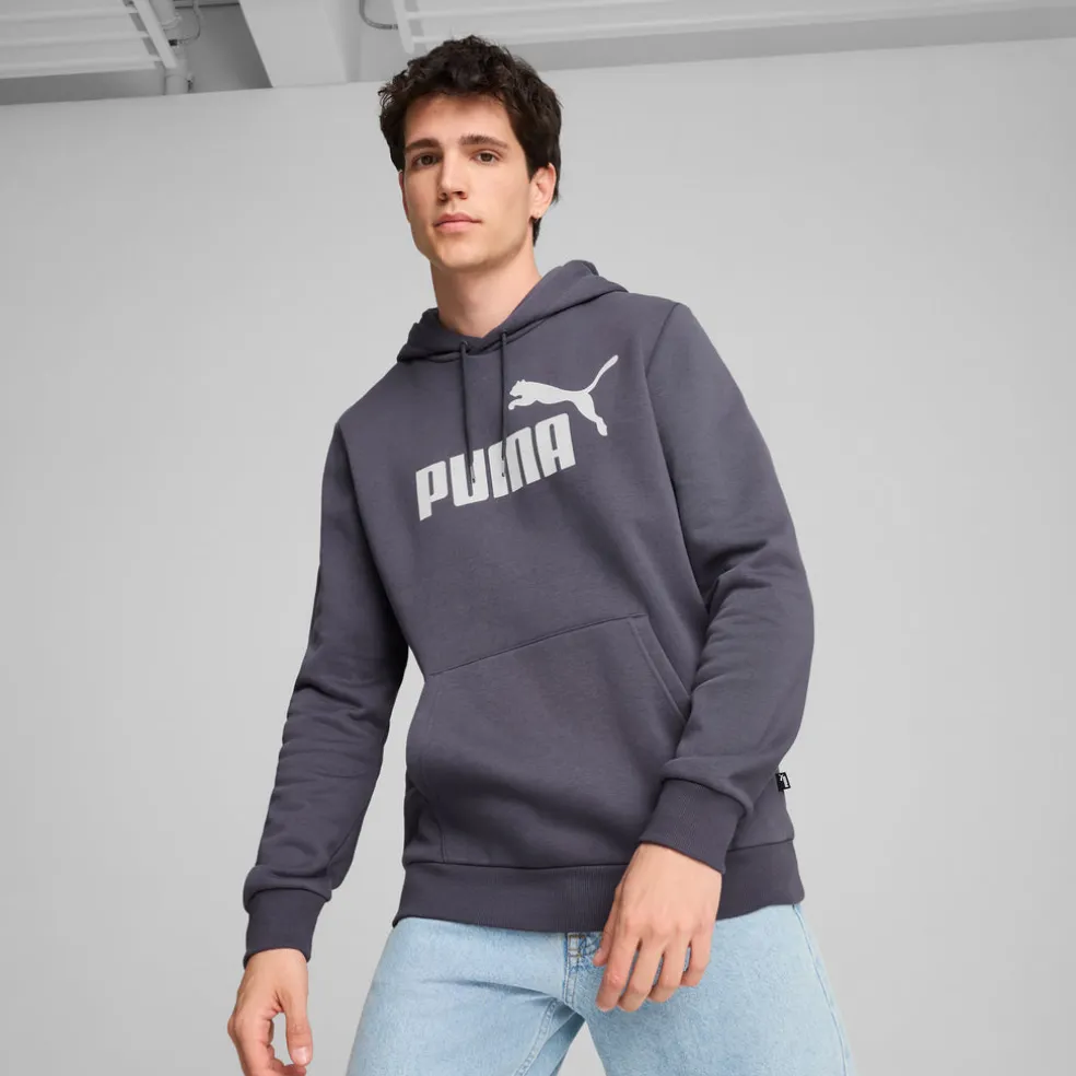 Essential Big Logo hoodie