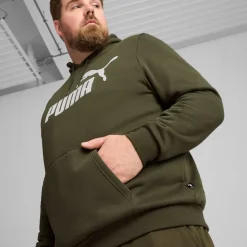 Essential Big Logo hoodie