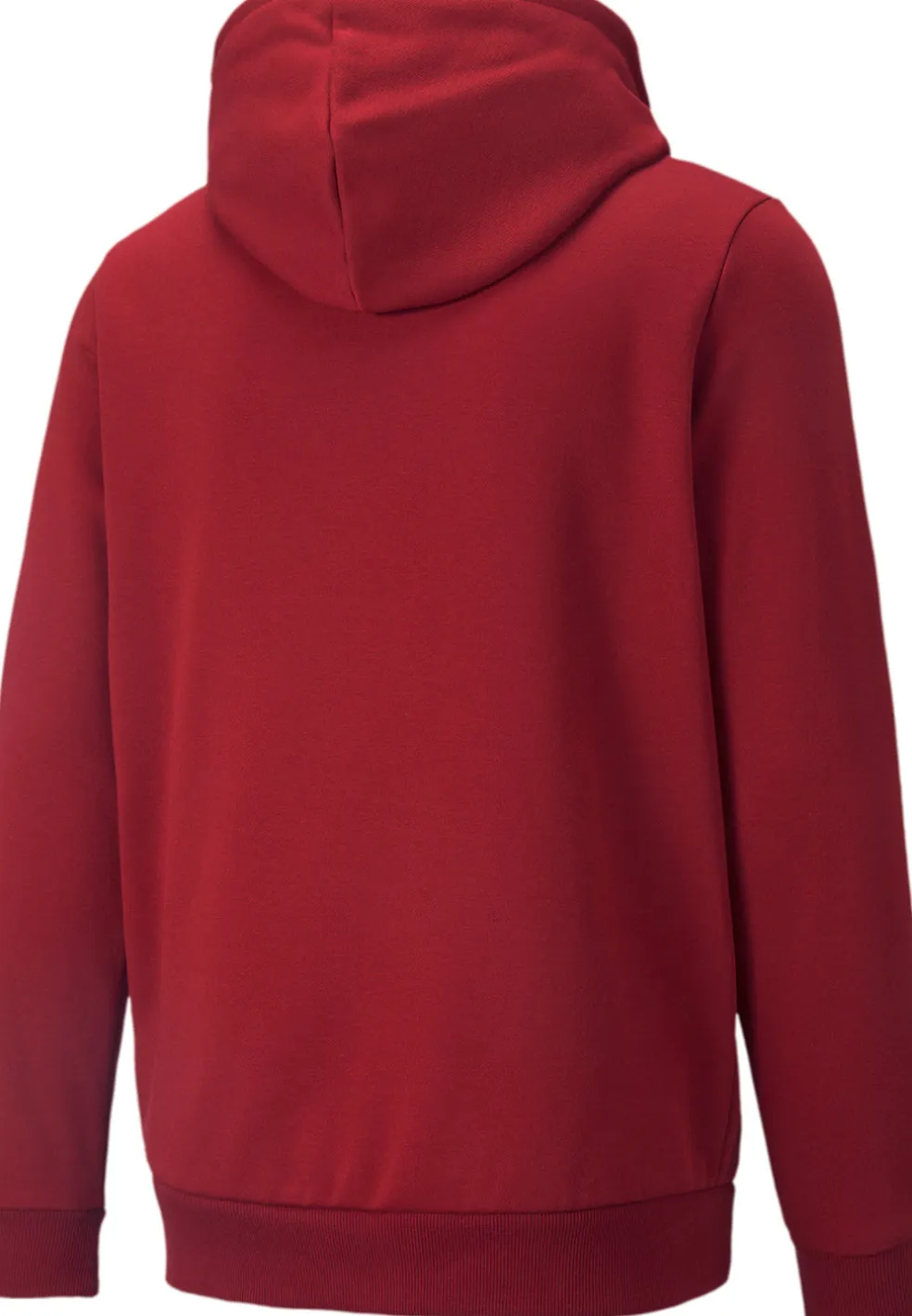 Essential Big Logo hoodie