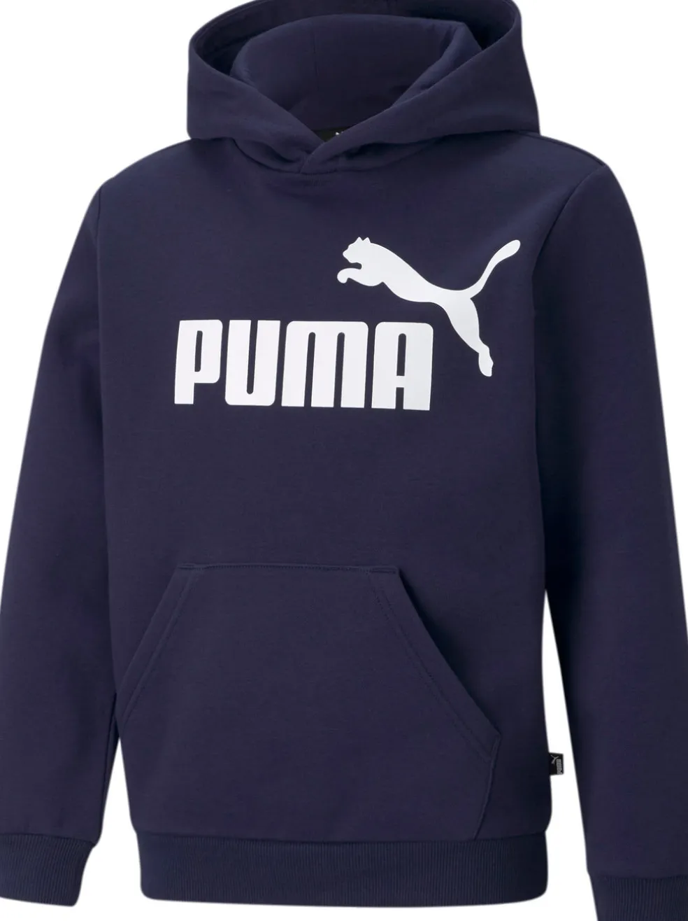 Essentials Big Logo kids hoodie