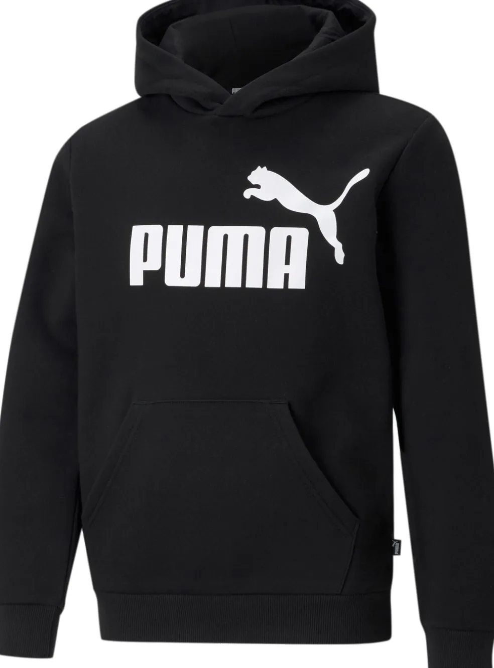 Essentials Big Logo kids hoodie