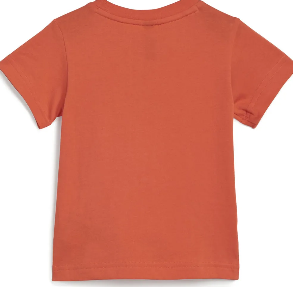 Essentials Organic Cotton trainingspak
