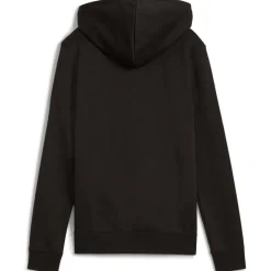 ess no. 1 logo hoodie fl