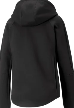 EVOSTRIPE Full-Zip hoodie