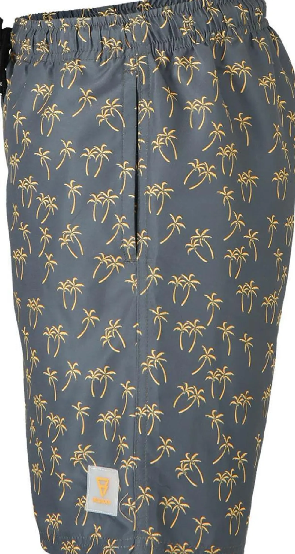 Hestey-ao Boys Swimshort