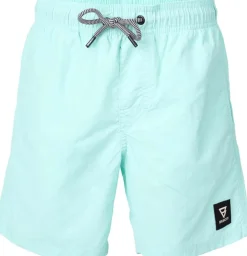 Hestey Boys Swim Shorts