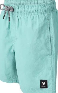 Hestey Boys Swim Shorts