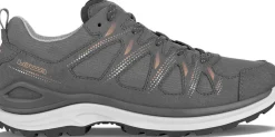 Innox Evo Gtx Wandelschoenen low