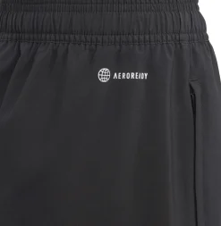 Juventus Condivo 22 presentation broek