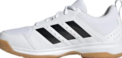 Ligra 7 zaalschoenen