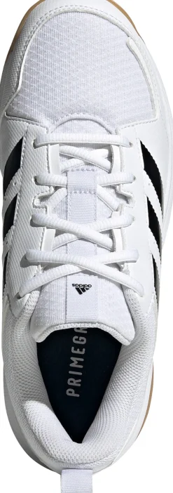 Ligra 7 zaalschoenen