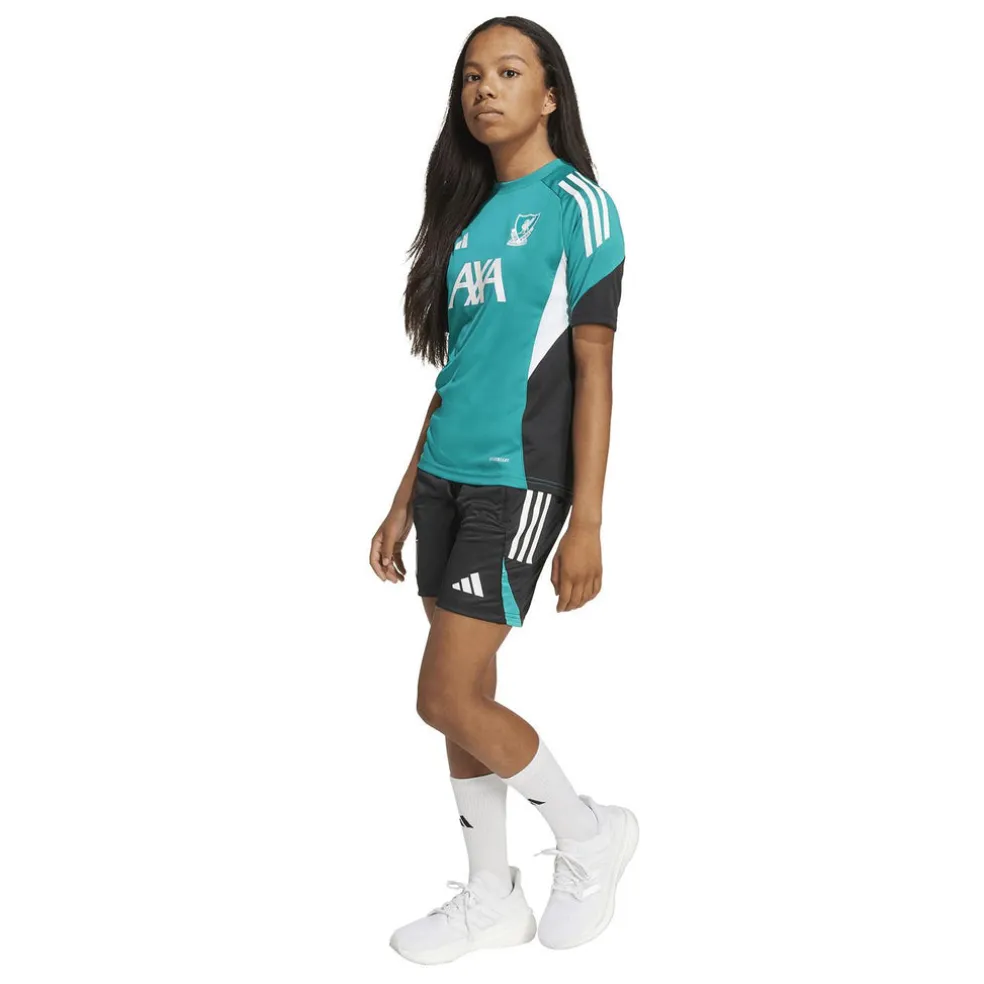 Liverpool FC Tiro 25 Competition Training Short Kids