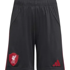 Liverpool FC 25/26 Uitshort Kids