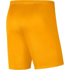 NIKE DRI-FIT PARK III BIG KIDS