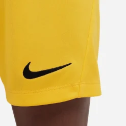 NIKE DRI-FIT PARK III BIG KIDS