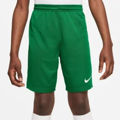 NIKE DRI-FIT PARK III BIG KIDS