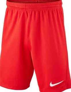 NIKE DRI-FIT PARK III BIG KIDS