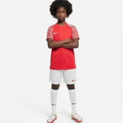 NIKE DRI-FIT PARK III BIG KIDS