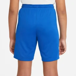 NIKE DRI-FIT PARK III BIG KIDS